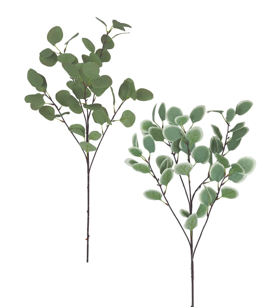 TIGE EUCALYPTUS X5 BRANCHES H.92CM TONS DE VERT