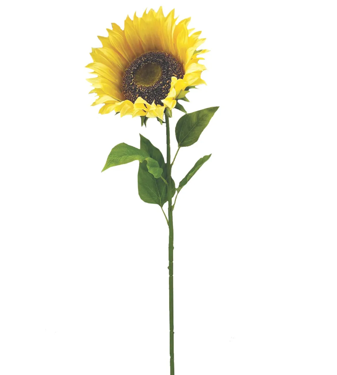 TIGE GEANTE TOURNESOL H.102CM JAUNE