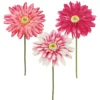 TIGE GERBERA H60CM ROSE