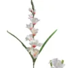 TIGE GLAIEUL 7 FLEURS ET 3 BOUTONS H80CM BLANC