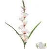 TIGE GLAIEUL 7 FLEURS ET 3 BOUTONS H.80CM BLANC