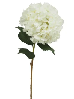 TIGE HORTENSIA GEANT H91CM BLANC