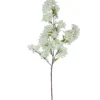 TIGE JASMIN H.100CM BLANC