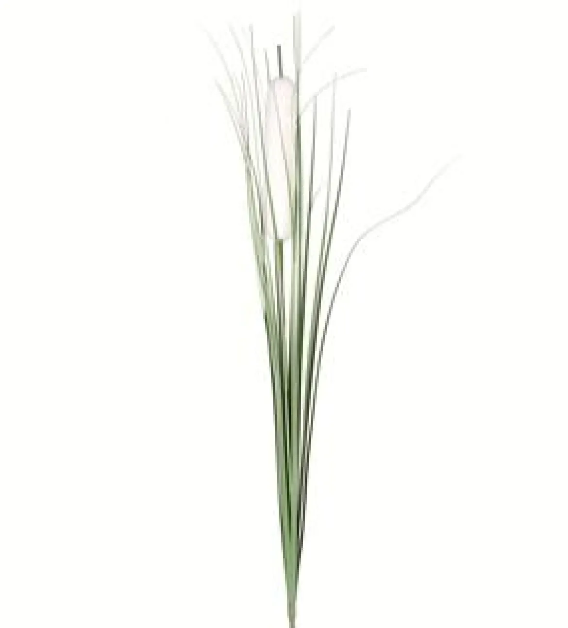 TIGE JONC ET HERBE H.82CM BLANC