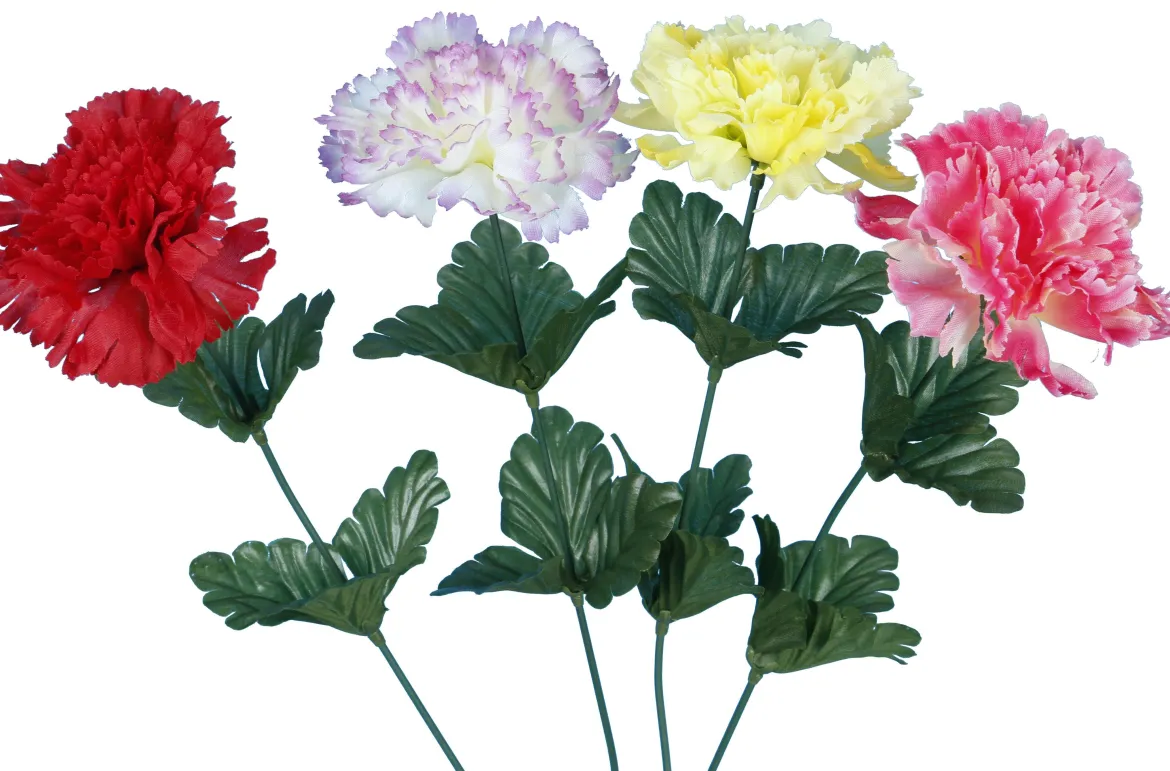 TIGE OEILLET COULEURS ASSOSRTIES