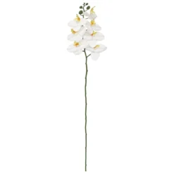 TIGE ORCHIDEE GISELE H.95CM