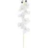 TIGE ORCHIDEES 7 FLEURS H.65CM BLANC