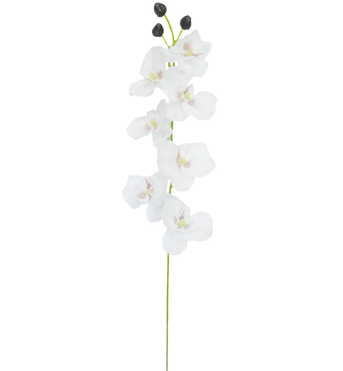 TIGE ORCHIDEES 7 FLEURS H.65CM BLANC