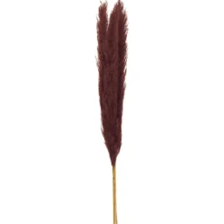TIGE PAMPA RUBIS H.110CM