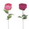 TIGE PIVOINE H.57CM ROSE