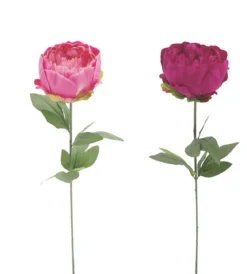 TIGE PIVOINE H.57CM ROSE