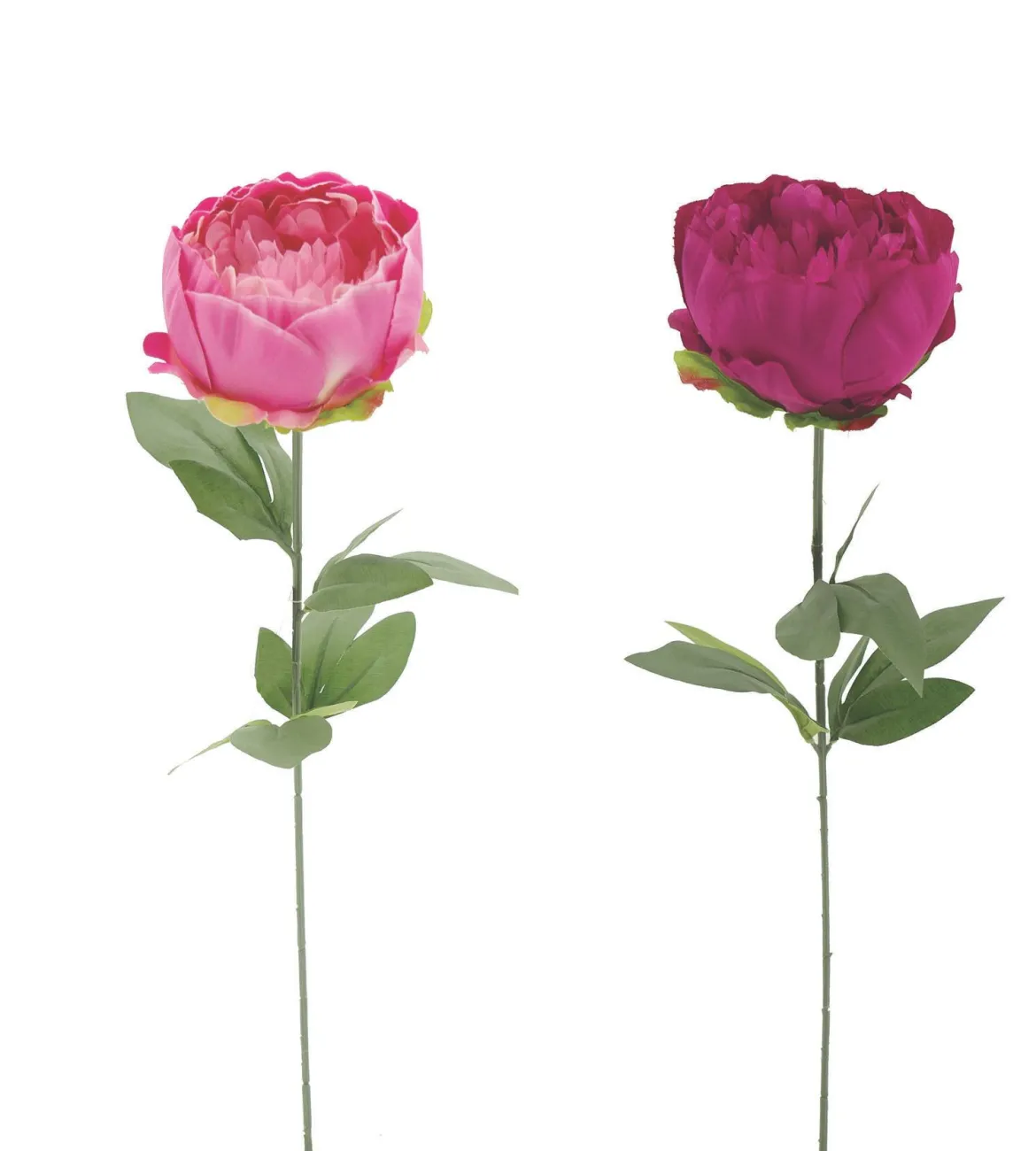 TIGE PIVOINE H.57CM ROSE