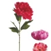 TIGE PIVOINE ROUGE ROSE