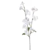 TIGE POMMIER BLANC H.75CM