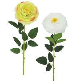 TIGE RENONCULE H.70CM BLANC ET VERT