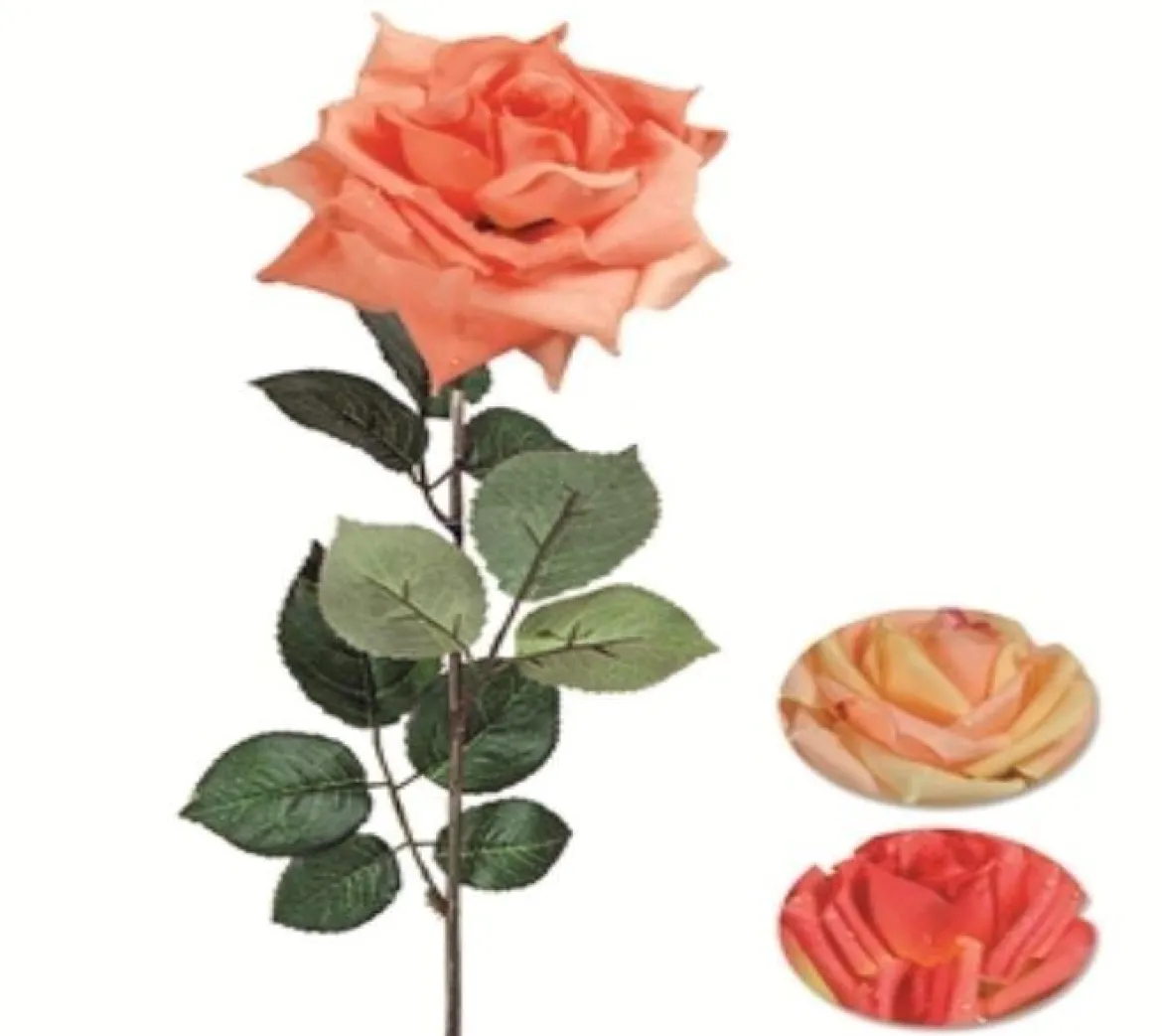 TIGE ROSE GOUTTE H.70CM ORANGE