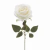 TIGE ROSE H.63CM BLANC