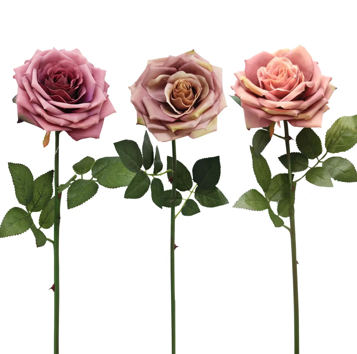 TIGE ROSE H.72CM CHARME