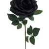 TIGE ROSE H.72CM NOIR