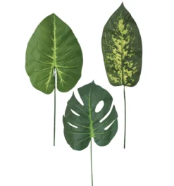 TIGES FEUILLAGES MONSTERA DIFFENBACHIA H67CM