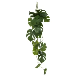 TIGE TOMBANT MONSTERA GALA H.85CM