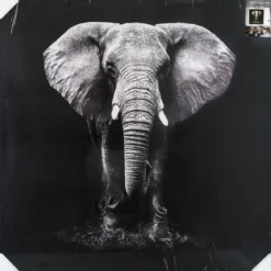 TOILE IMPRIMEE ELEPHANT D.100X100CM