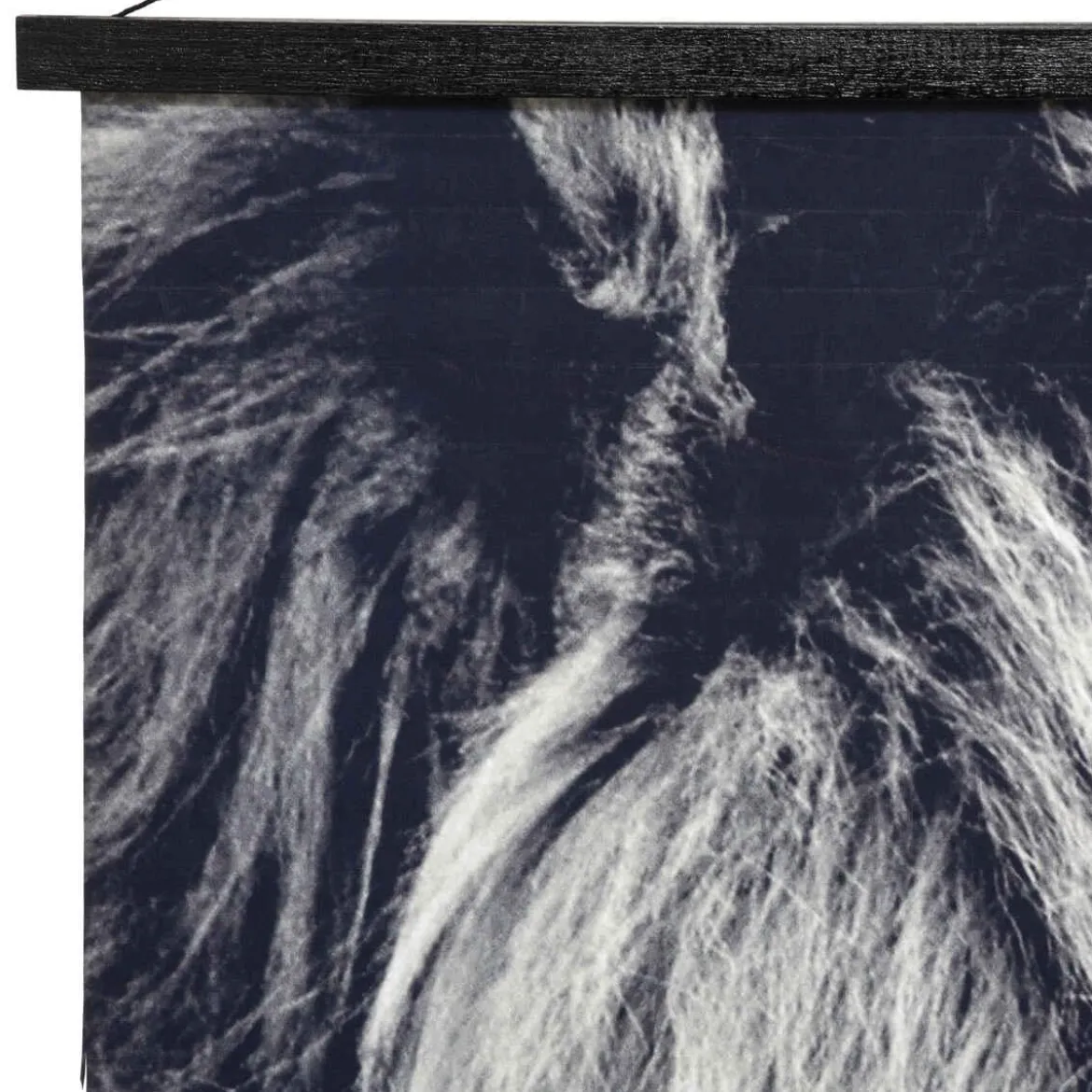TOILE SUSPENDU LION D.73X110CM