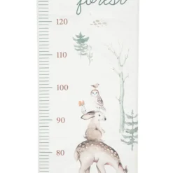 TOISE FORET