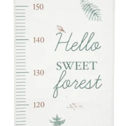 TOISE FORET
