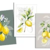 TORCHON LEMON JAUNE 50X70CM
