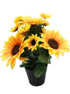 TOURNESOLS EN POT PLASTIQUE NOIR D10XH9CM H27CM