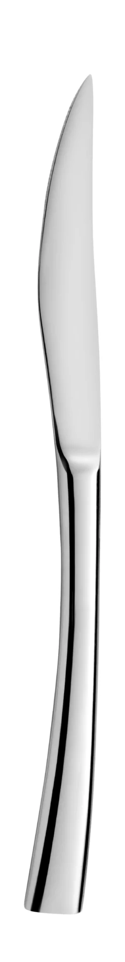 VARSOVIE COUTEAU INOX