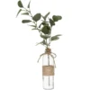 VASE EUCALYPTUS ET CORDE H.45CM