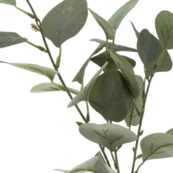 VASE EUCALYPTUS ET CORDE H.45CM