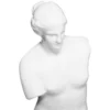VENUS MILO RESINE H.40CM