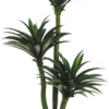 YUCCA 3 TRONCS 170 FEUILLES POT H.160CM