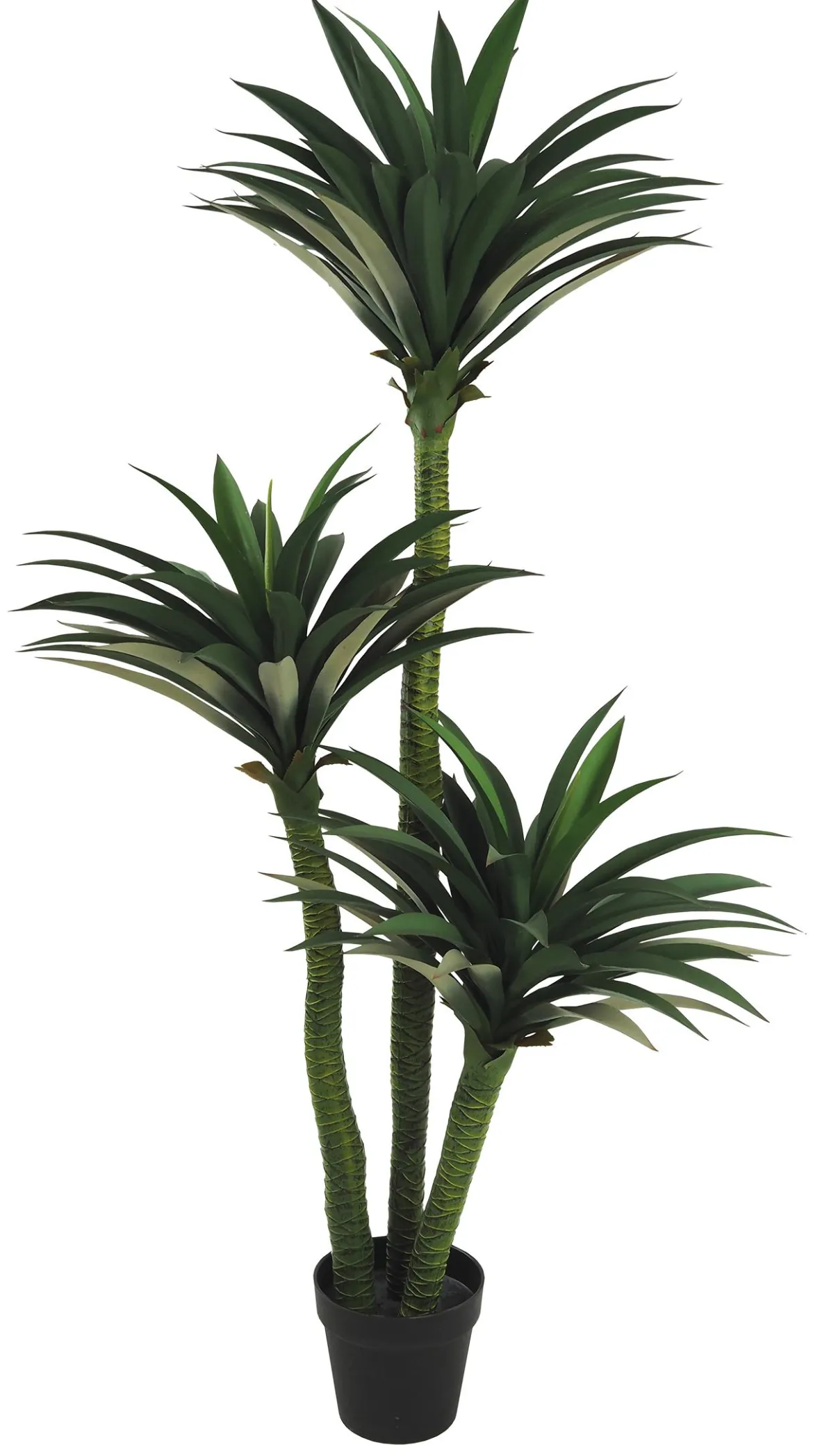 YUCCA 3 TRONCS 170 FEUILLES POT H.160CM